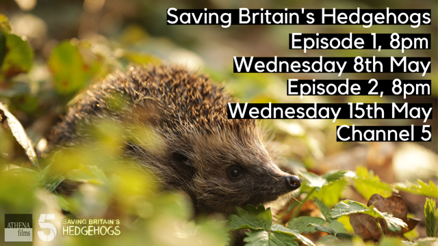 Windlesham Society tweet media