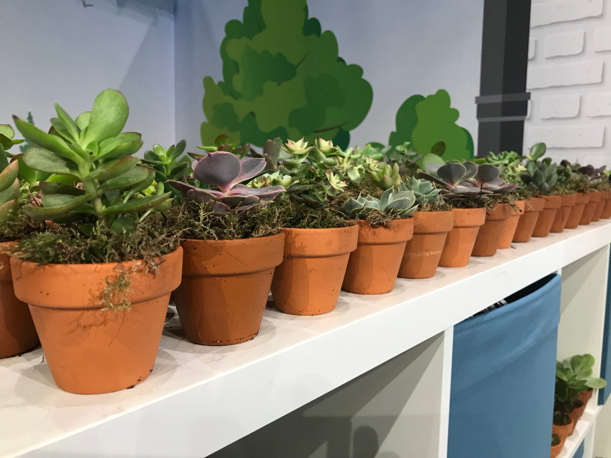 BlueBrand_UK's tweet photo. Countdown to @Accountex. Very proud of our continued association with @cabacharity and their amazing stand at this year’s event. Visit CABA on stand 591 and follow them online to receive a FREE desk plant #growwithCABA #Wellbeing. Good luck to all involved. https://t.co/lTEzKka9aK