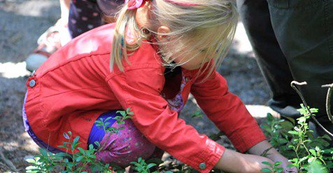 Samen met uw kinderen op #ontdekkingstocht. Aankomende vrijdag een spannende #bossafari. Zien zoals nooit gezien, voel als nooit gevoeld en ruik zoals nooit geroken. 
Deze activiteit is alleen online te boeken: staatsbosbeheer.nl/activiteiten/s…