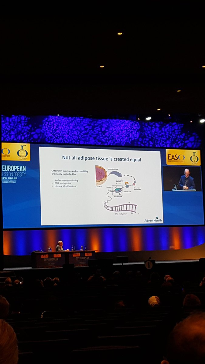 Dr Smith - big differences in gene expression in adipose tissue between apple and pear body  shapes #ECO2019 #livingwithobesity @EASOobesity @UK_ASO @ASO_Scotland