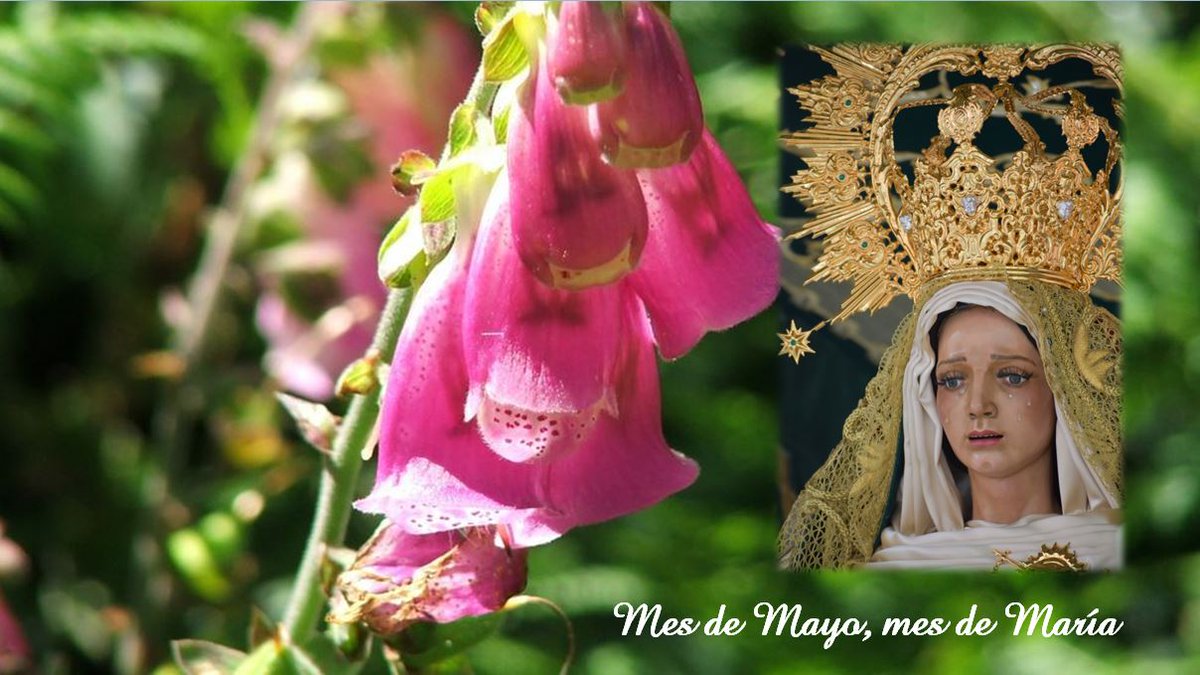 MDNLeon (@mdn_leon) on Twitter photo 