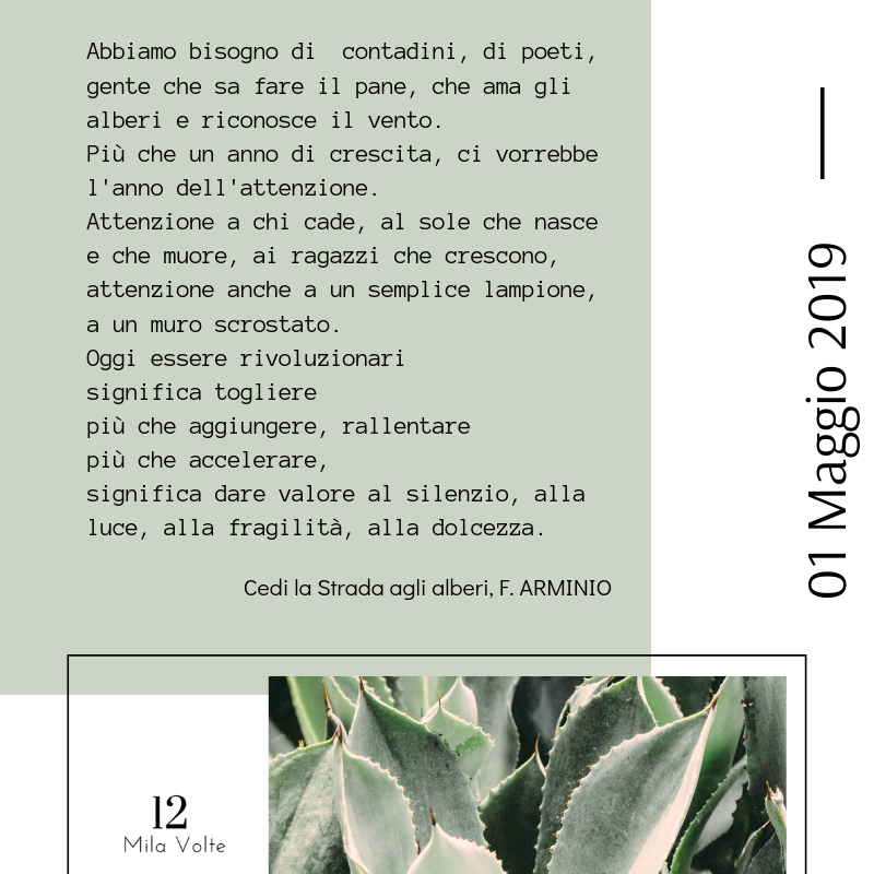 Buon 1 Maggio 
#1maggio #primomaggio #Buon1 #lavoro #cambiamento #francoarminio