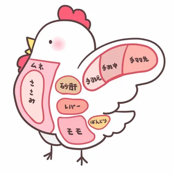 画像 / Picture
