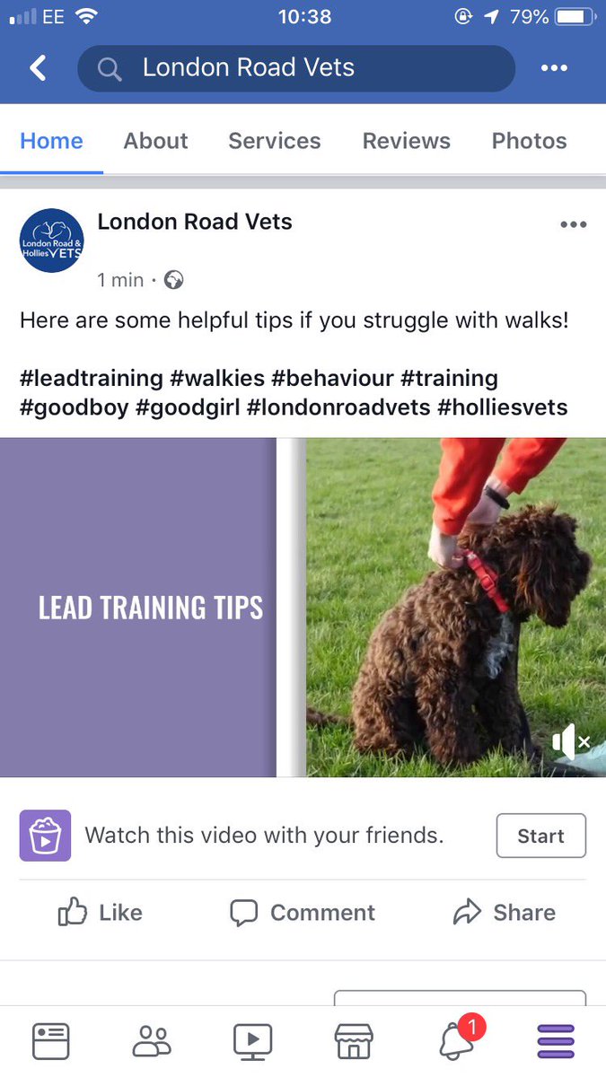 LondonRoadVets's tweet photo. Head over to our Facebook page to find out more!!! https://t.co/wWx7DoRBwT