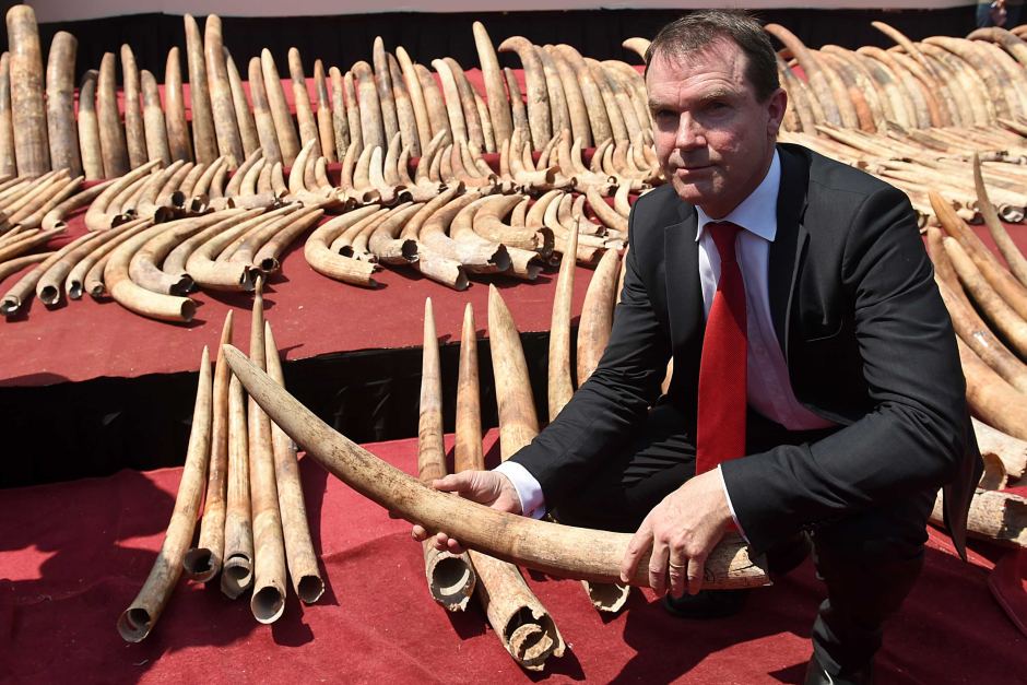 JohnEScanlon's tweet photo. #CITES is a remarkable Convention that has continued to evolve over time &amp; it has a key role to play into the future

On this day in 2010 I joined CITES as its 5th Secretary-General, a post I held to 2018, &amp; here are my reflections on @CITES &amp; its future https://t.co/aej9BfByR9 https://t.co/yjbF3aQZAq