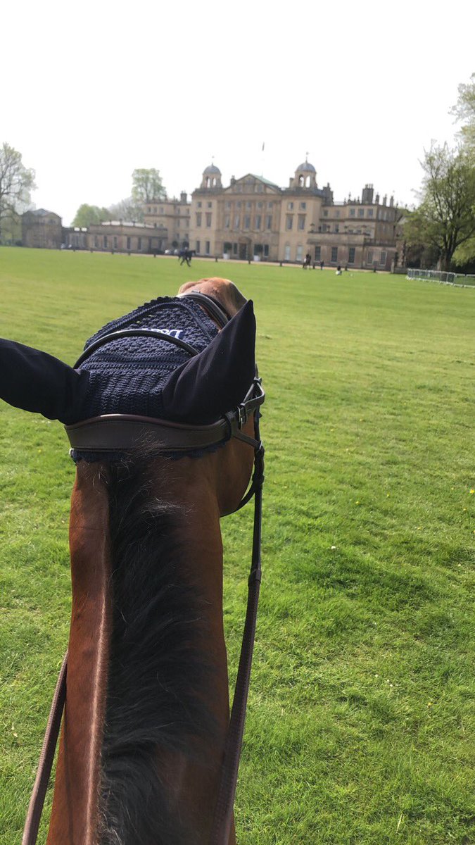 CollettEventing's tweet image. When you’re trying to get that iconic Badminton picture but you’re working with Mr Bass 🤦🏻‍♀️🤣 #NotHelpful