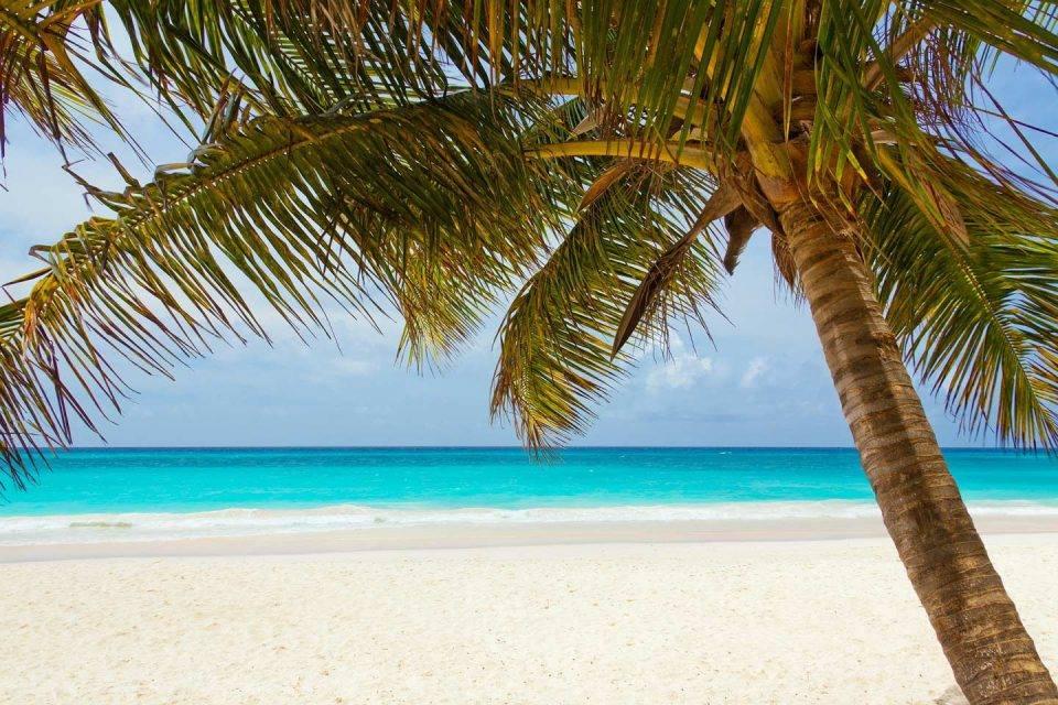 SplendorVietnam's tweet photo. The forest or the sea? Which is your choice for this summer?
#SplendorVietnam https://t.co/saCridtQKP