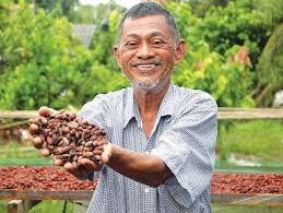 SplendorVietnam's tweet photo. Welcome to Tien Giang province in Vietnam to taste and learn how to make the most delicious chocolate in the world.
#Kimmy's #Chocolate #Vietnam'spride# https://t.co/yyyxjEALMh