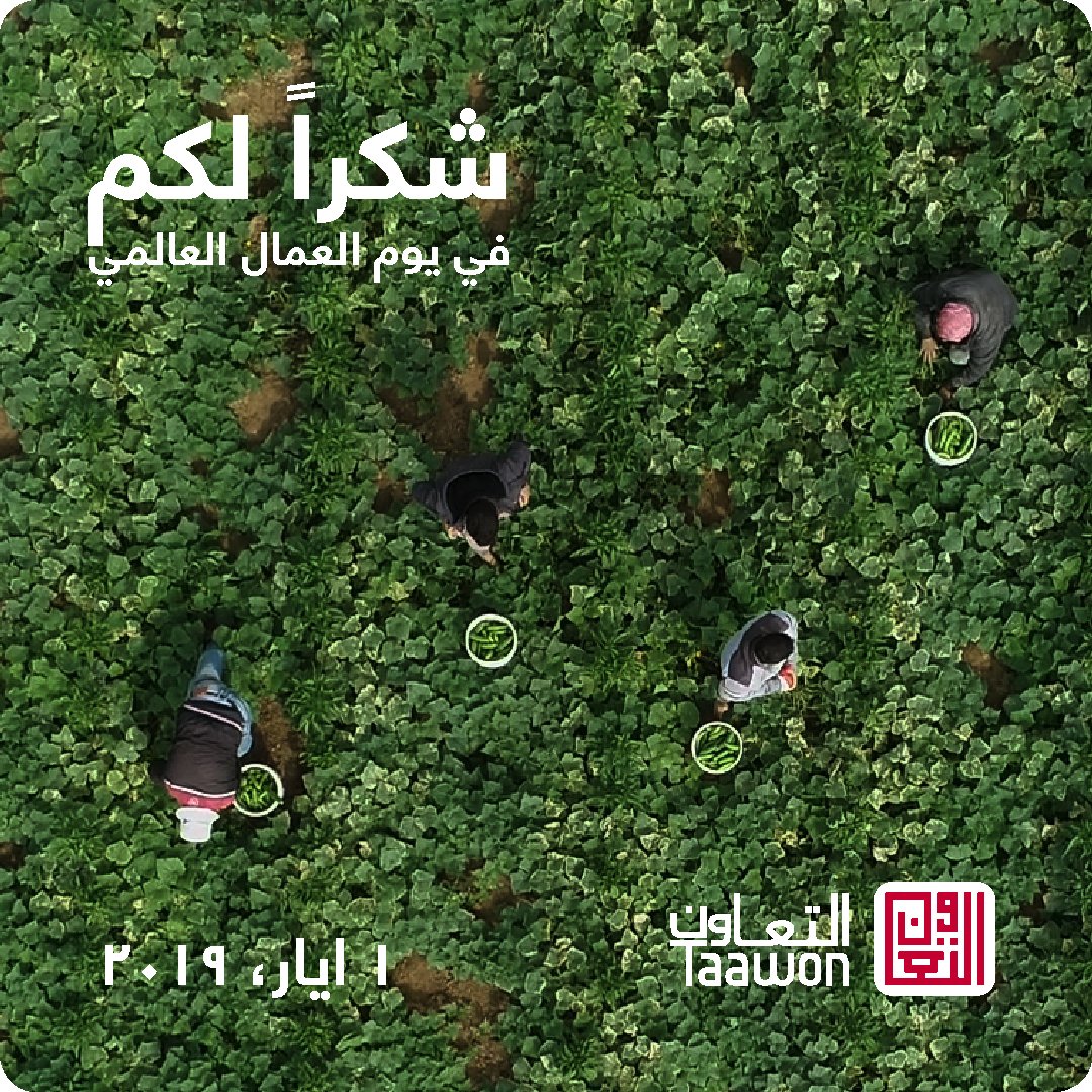 TaawonPalestine's tweet photo. #1stofMay #LabourDay #MayDay #LaborDay2019 #عيد_العمال https://t.co/Zte6O0XeQA
