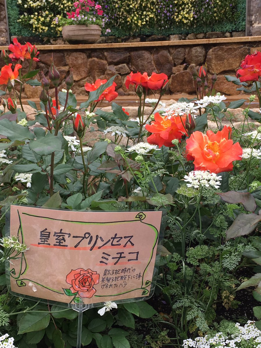 プリンセスマサコ