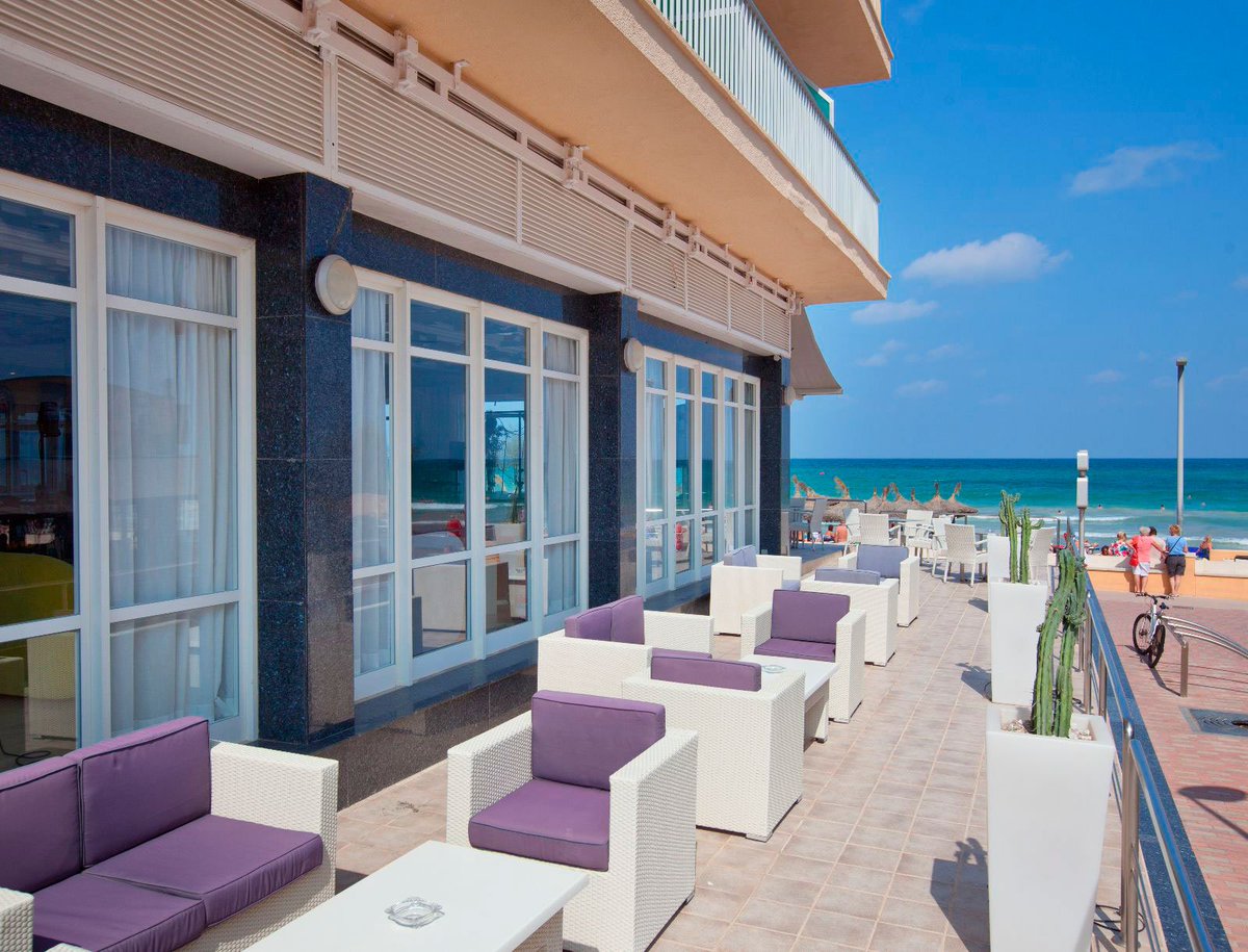 JS_Hotels's tweet photo. ¿Te imaginas aquí tumbado disfrutando del sol de Mallorca? No imagines más y reserva ya tu estancia en #JSCanPicafort https://t.co/IcZ7vfcdVn