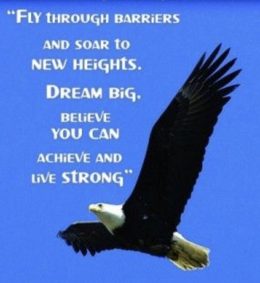 EdisonTampa's tweet photo. 4th &amp; 5th grade Eagles...Today is your day to soar!! We believe in you! @AchievementSch @ErinFiallo @alyce83885687 @Lissyp83 @LauraGoldwire @Gibson0503 @_MissFernandez @EmilyCastiglia @kam1383 https://t.co/2ANF722qkm