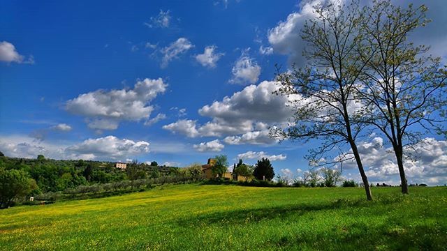 theamazer's tweet image. #tuscany #instaspring #instasunny #springtime2019 #Florence #Chianti #blueskies #clouds #sunnyday bit.ly/2IQGqVP