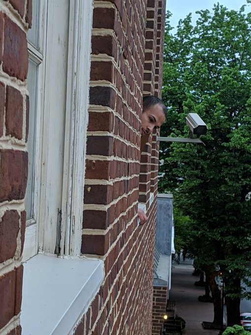 View image on Twitter