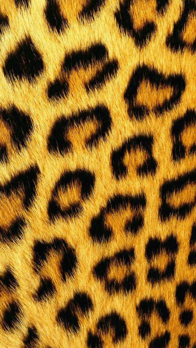 wallpapers25's tweet photo. LEOPARD🐯
#Wallpaper #วอลเปเปอร์
#แจกวอลเปเปอร์ #แจกภาพ #เสือดาว https://t.co/6b6mhqr8mP