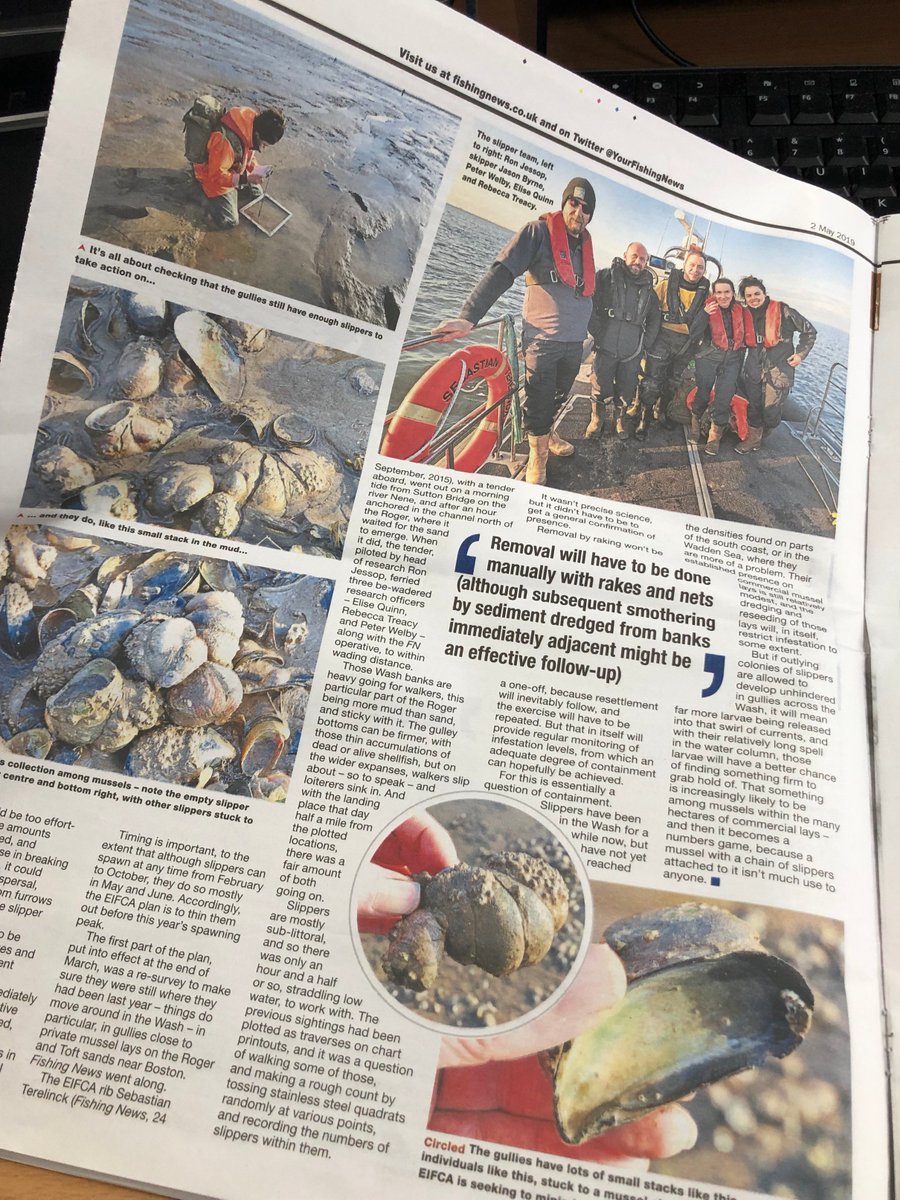 EIFCA have found localised patches of slipper limpets on our cockle &amp; mussel surveys. Grab a copy of <a href="/YourFishingNews/">Fishing News</a> to read more on how we are trying to reduce thicker concentrations of the limpets, even if total eradication isn't possible! Thanks @JohnWorrall11 for joining us!