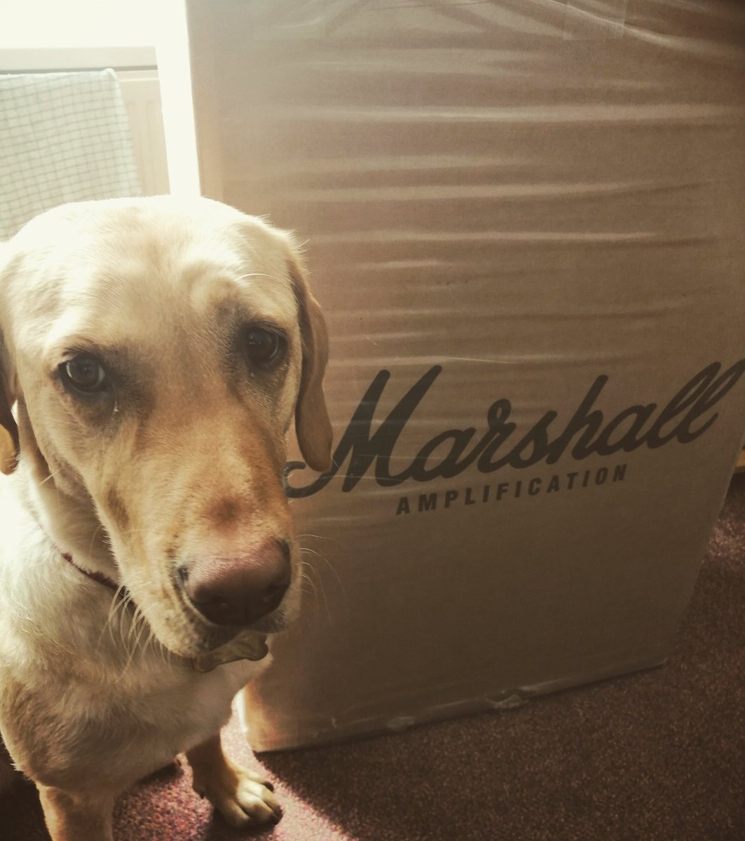 andydoveguitar's tweet image. Ooooh can't wait to rip this bad boy open @marshallamps #silverjubilee #thewaitisfinallyover