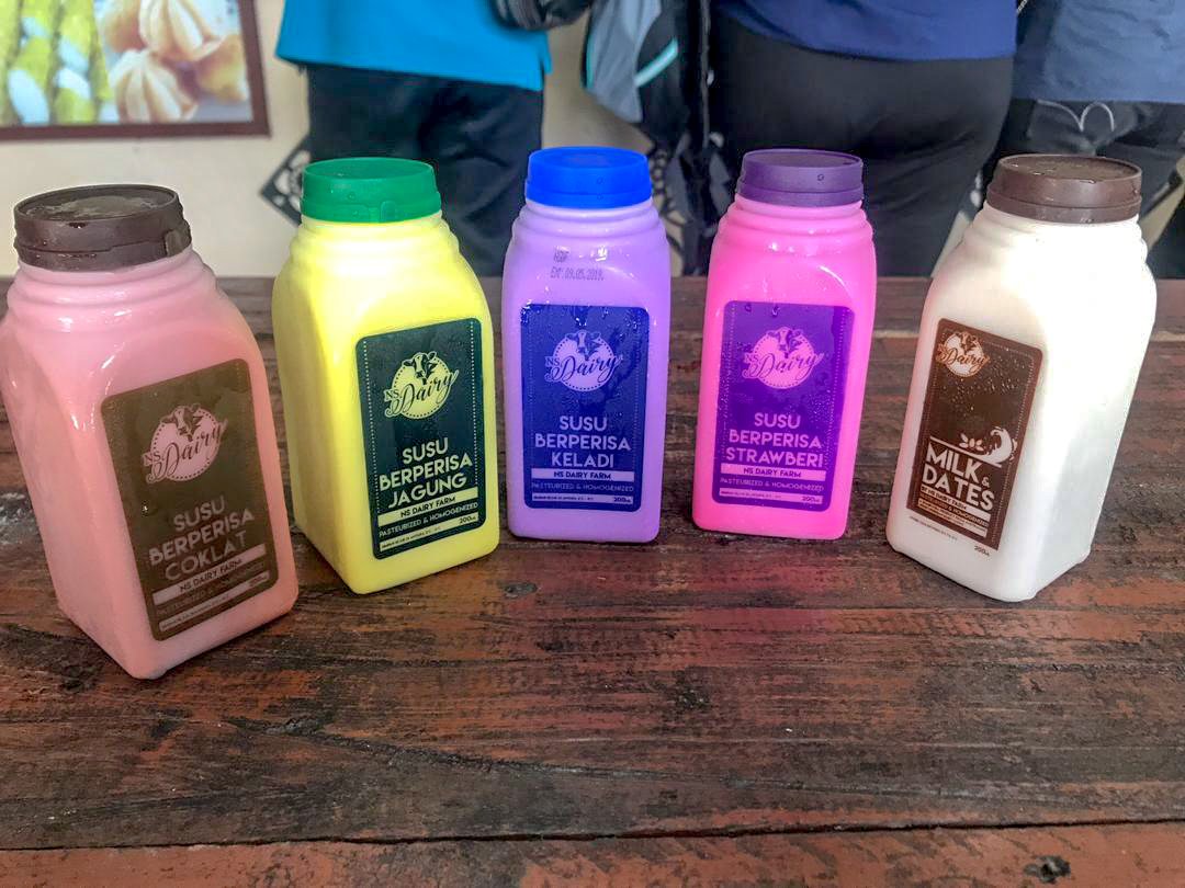 gayatravel's tweet photo. Head to NS Dairy Farm for these delicious fresh milks. While you're there, try activities like camping and cycling.
#TeghojahN9 #travel2N9 #VisitNegeriSembilan #PesonaSeremban #ColoursOfNegeriSembilan #LPNS #GayaTravel #TravelNoMatterWhat #visitmalaysia2020 #SayangiMalaysiaKu https://t.co/JzssP3wAvq