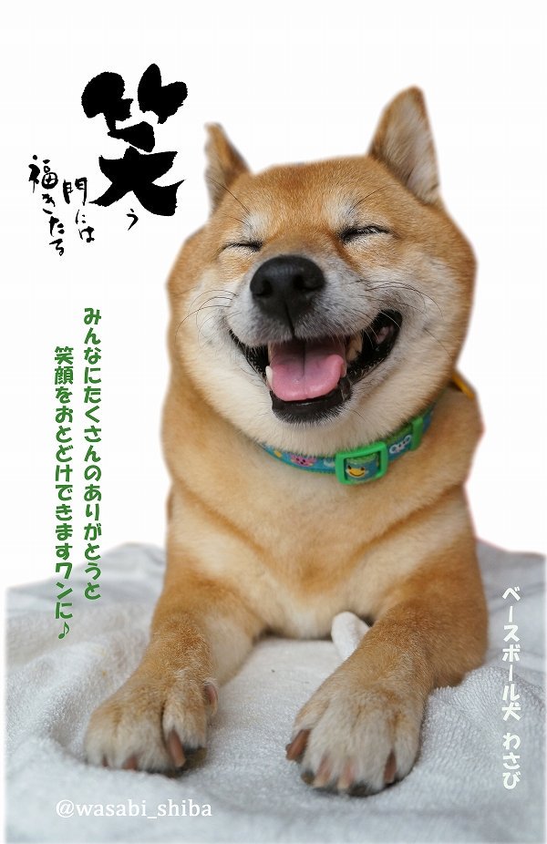 わさび Auf Twitter はじめまして れいわ みんなえがおの よい時代になりますワンに れいわん れいわん わんわんわん 令和 令和元年 新年号