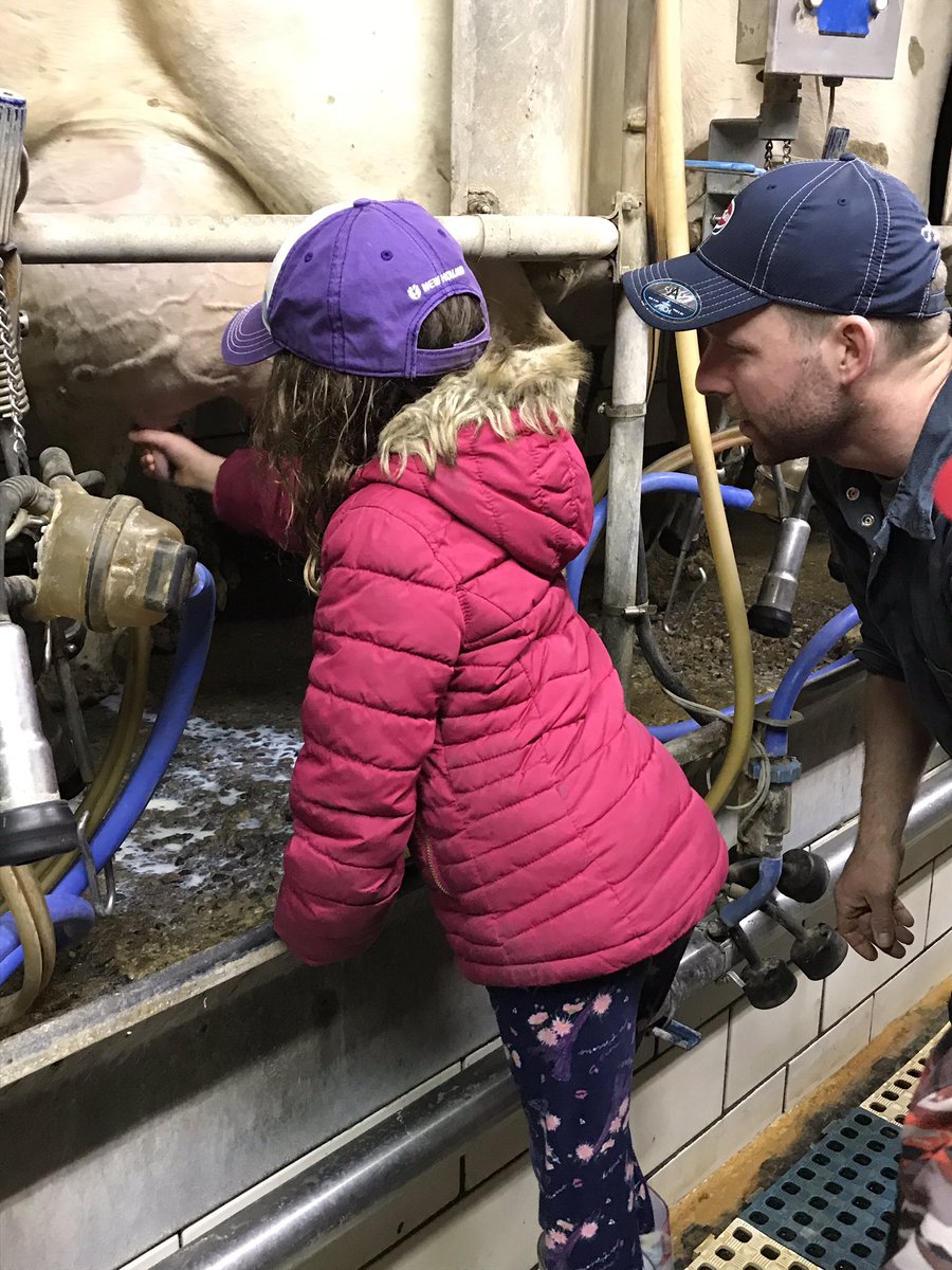 JamieJ19842012's tweet photo. A very educational trip to the farm! Milking cows, feeding sheep and calves. A great field trip to support our inquiry! Thank you to the Wurmli and Misch Family! @stjoesportelgin https://t.co/z9fFdPWdhP
