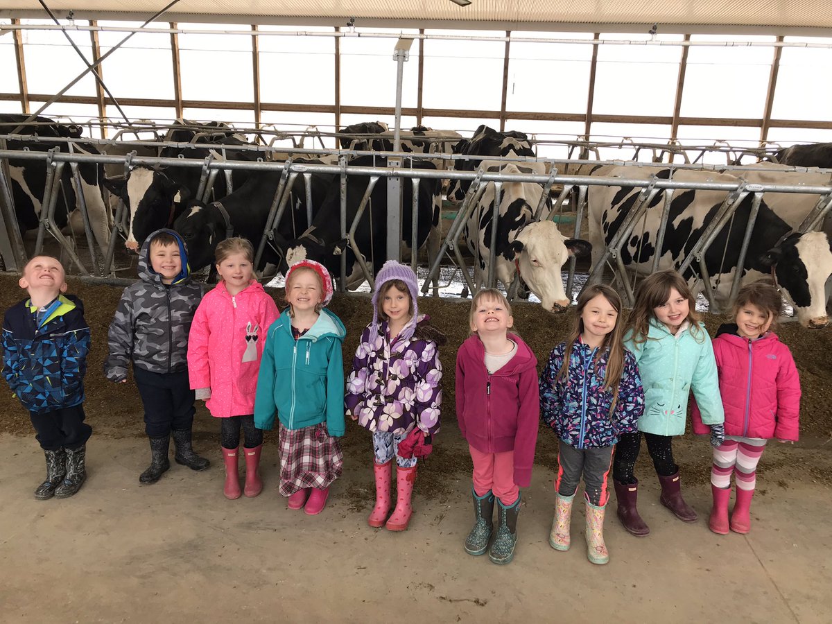 JamieJ19842012's tweet photo. An educational trip to the farm! Milking cows, feeding sheep and calves! A great field trip to support our inquiry! Thank you to the Wurmli and Misch Families! @stjoesportelgin https://t.co/F2tRlUNwxq