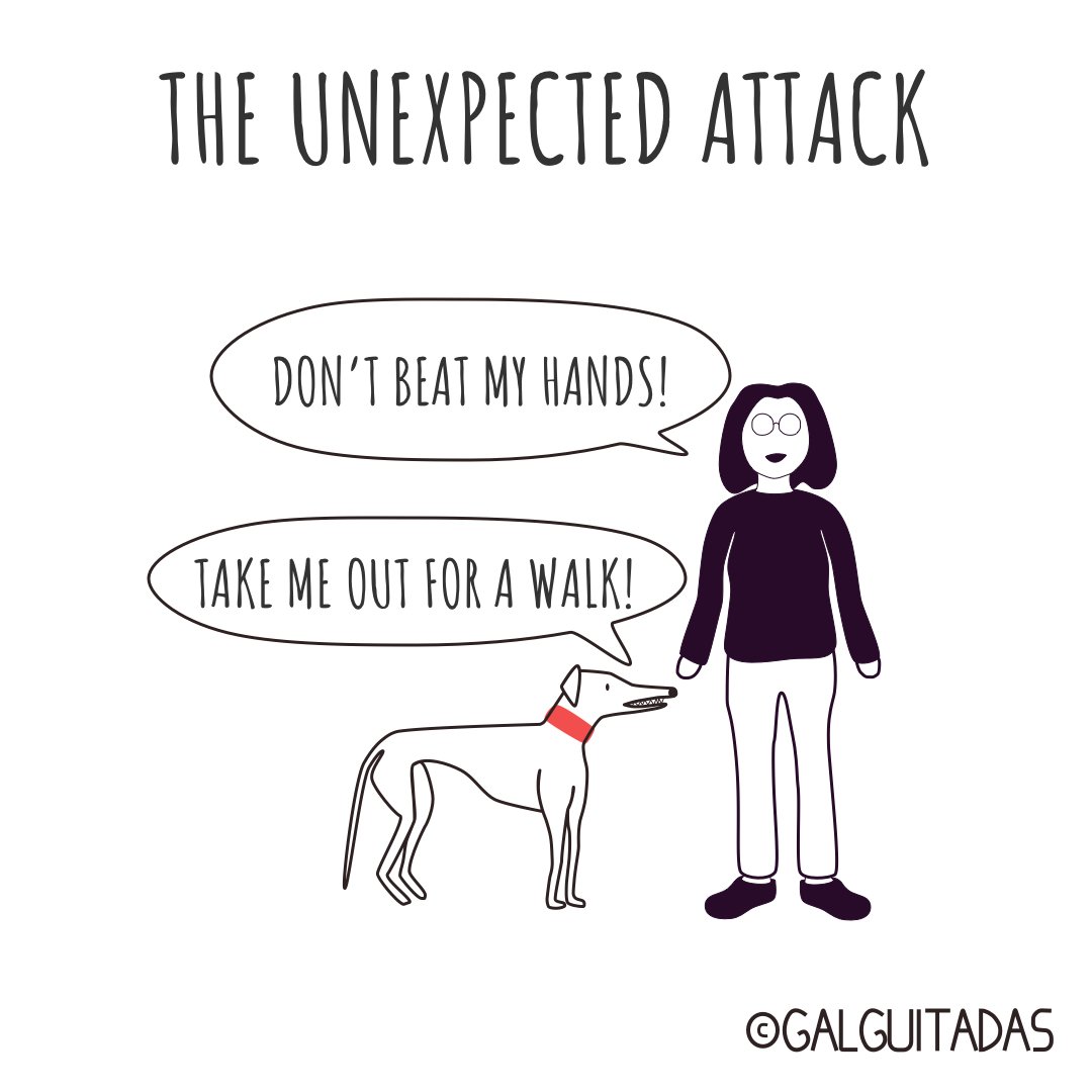 galguitadas's tweet photo. #galguitadas #galgo #galgolover #greyhound #grehoundrescue #freethegalgo #adoptanocompres #adoptdontshop #doglover #humor #comic #galgosdesofa https://t.co/xNOQKSTKAs