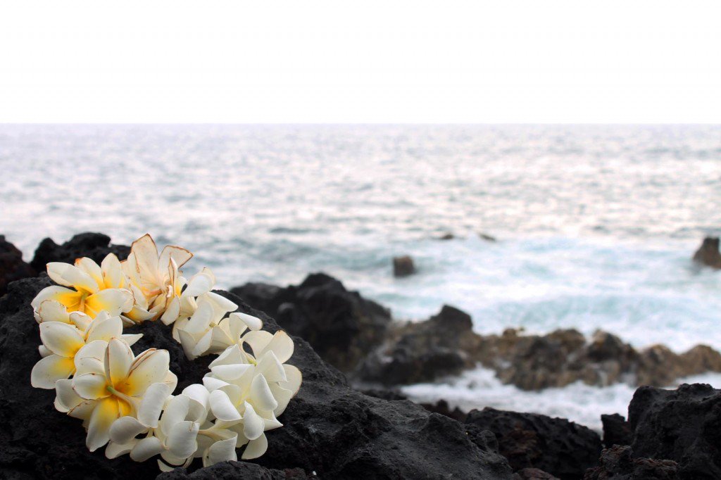 Happy May Day and Lei Day! 
.
#mayday #leiday #hawaii #oahu #aloha #honolulu #maui #travel #kauai #love #lei #hawaiilife #beach #waikiki #bigisland #surf #ocean #nature #hawaiian #photography #vacation #paradise #hilife #usa #sunset #travelphotography #islandlife