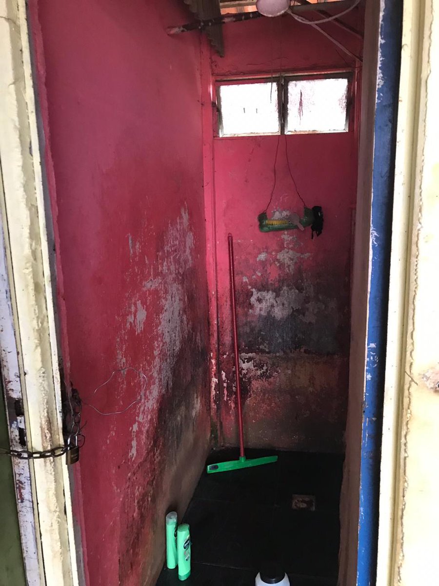 Grupo Florescer tweet media