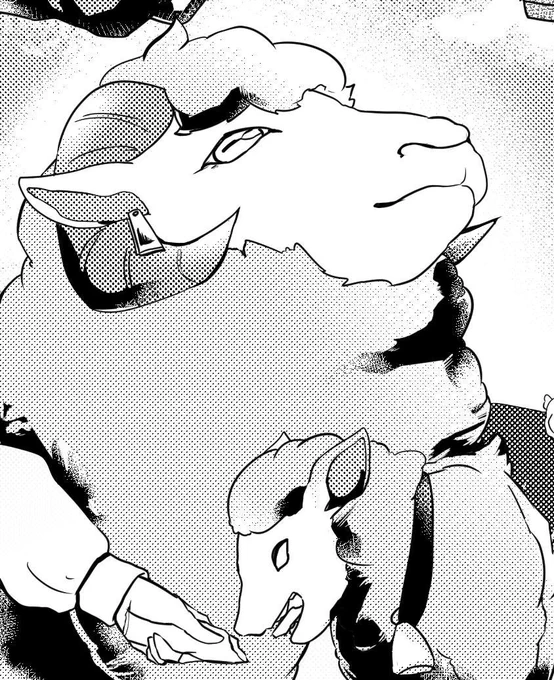 みてこの羊さん 