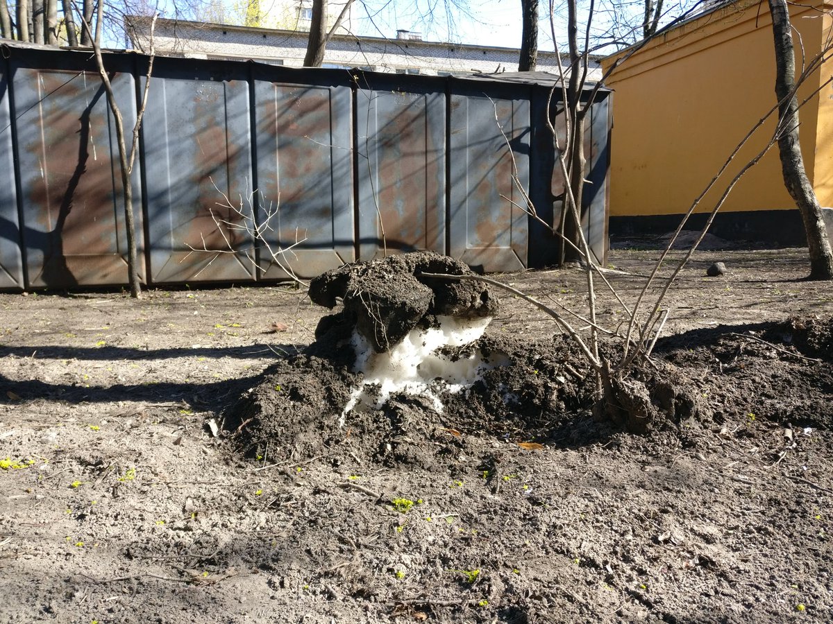 0xd1ma's tweet photo. Ископаемые останки https://t.co/zhCVfb3hWp