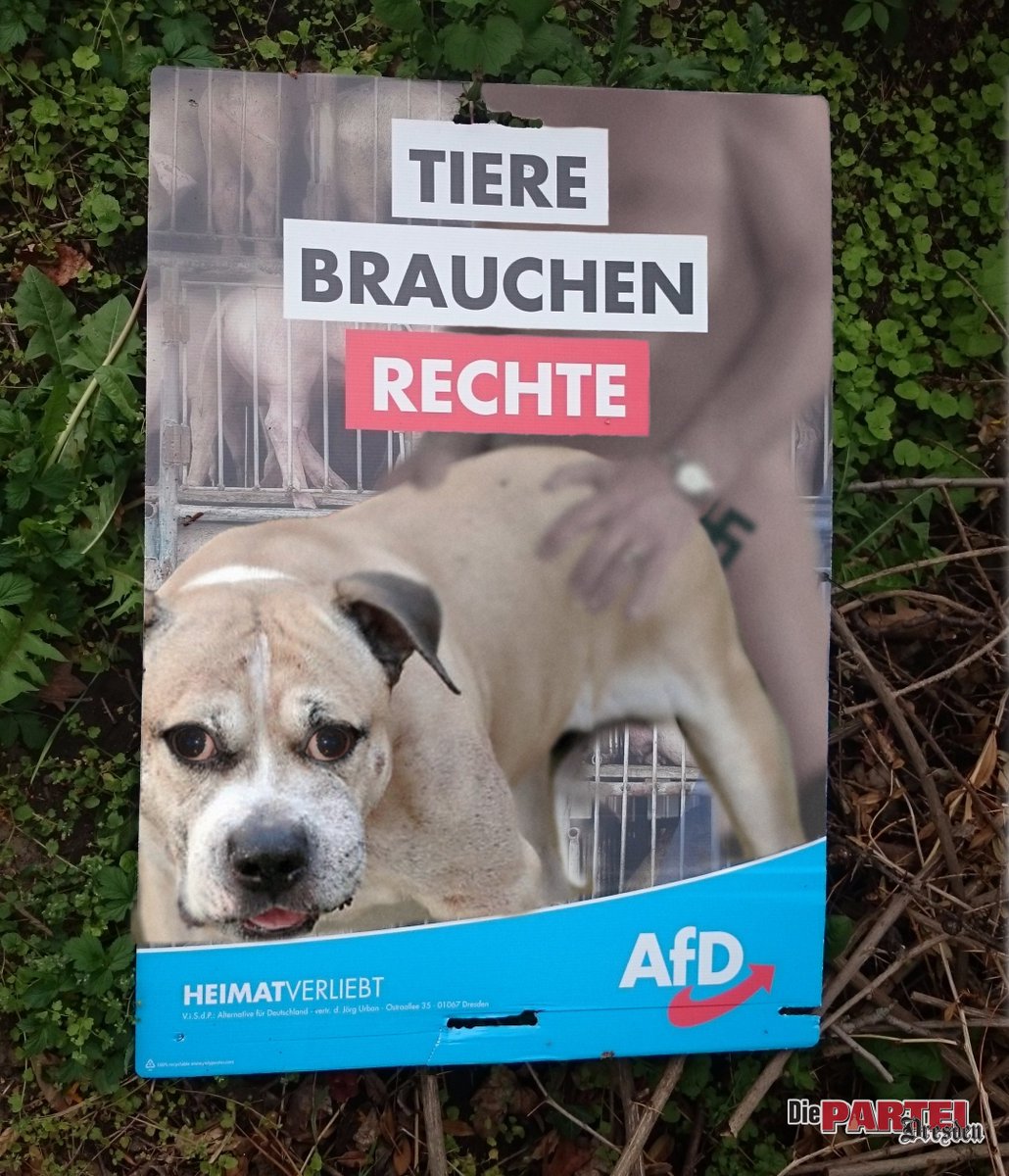 PARTEI_DD's tweet image. Es ist vertörend, was wir im Unterholz entdecken mussten. Hat die schon häufig durch Sprach- und Verständigungsprobleme auffällig gewordene AfD "tierlieb" falsch verstanden? 
#twitter #Dresden #dd0105 #Ef0105 #Pl0105 #Du0105 #b0105 #le0105 #1mai #tagderarbeit #diePARTEI #afd