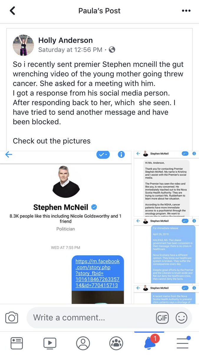 Paula Murray tweet media