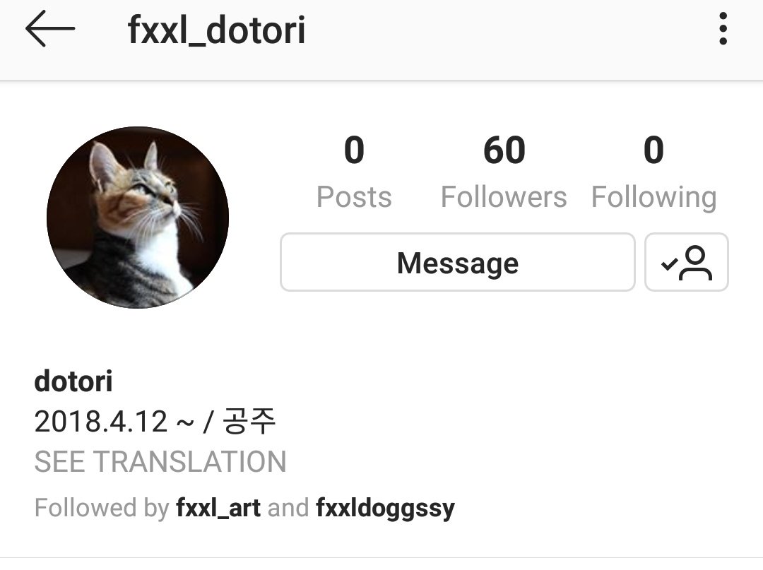 TheUnitConfess's tweet photo. #TUC wah kucingnya Feeldog punya ig? https://t.co/MDxFogbOJH