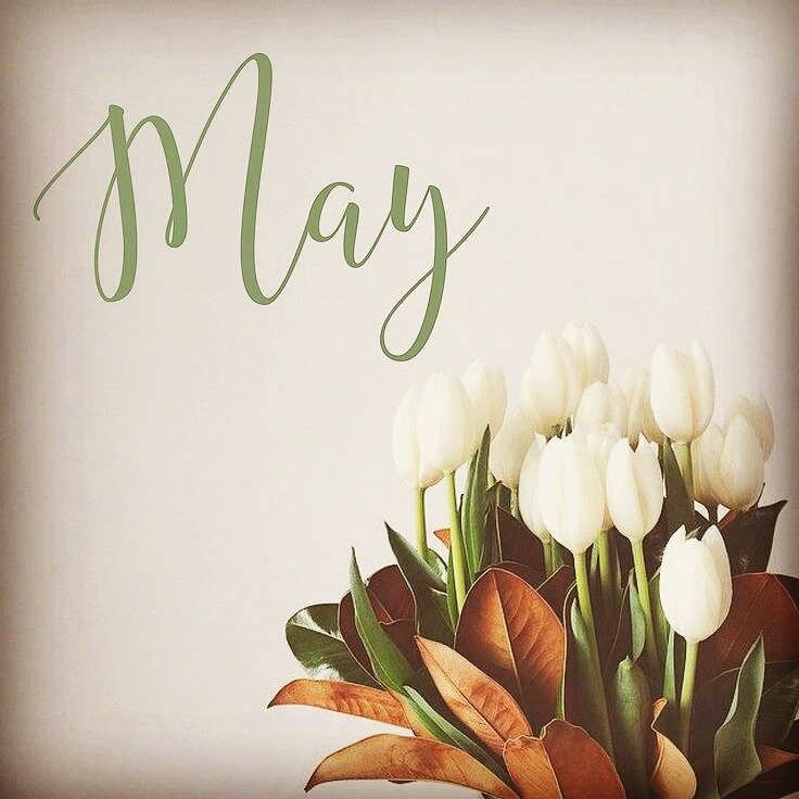 JustCombined's tweet photo. Hello May... Hope you are better then April was to us! #May #monthmaker #HelloMay https://t.co/JhmYBBxr1r