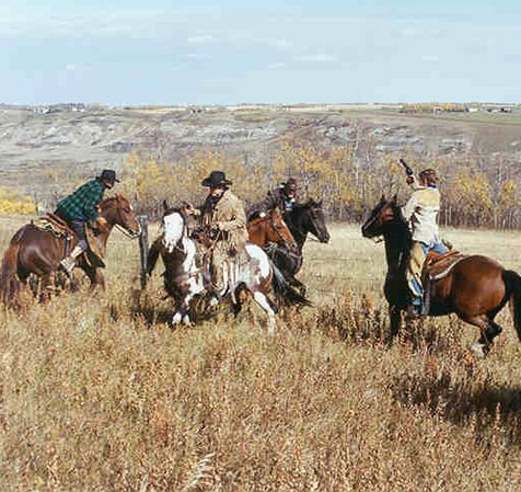 It won't be long now! 2019 excursion train here at #AlbertaPrairie starts Saturday, May 18. We are just hanging around waiting. Guns and horses at the ready.  #StettlerTrain #Badlands