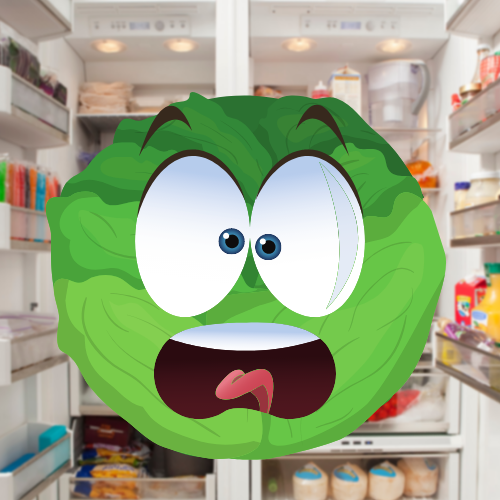 DrAmandaGummer's tweet photo. Q: Why was the lettuce embarrassed when it opened the refrigerator door?
A: Because it saw the salad dressing! 

#GiveAGiggle  #GiggleWeek @GiveaGiggle https://t.co/A1Nam4K3Ck