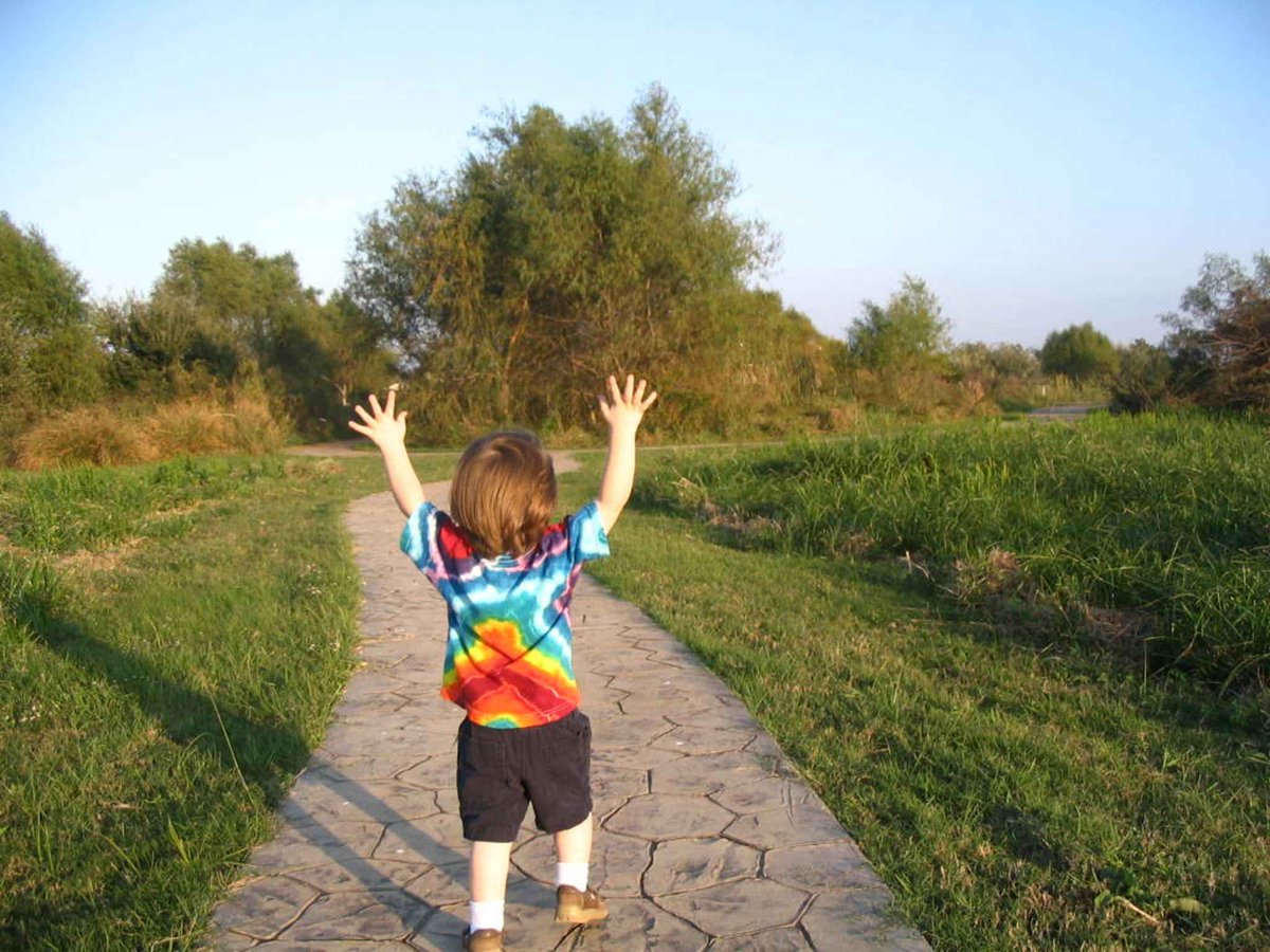UGDSBProgram's tweet image. RT UGDSB_CLS "RT MyProfectum: RT KimberlyEHart "In play a child always behaves beyond his average age, above his daily behavior. In play it is as though he were a head taller than himself." ~ Lev Vygotsky #Playmatters https://t.co/hd9n9BcVBP"
