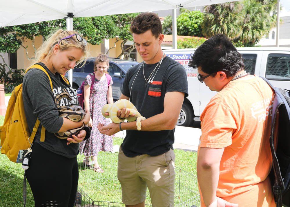 PBAUniversity's tweet photo. It’s a #NewDayPBA and this week students are taking finals—So we lightened the mood with some fuzzy and scaly creatures. Yesterday, we had a small petting zoo visit campus to give students a study break and help ease any stress they might have. Everyone had an enjoyable time! https://t.co/IbxxOVlnYp