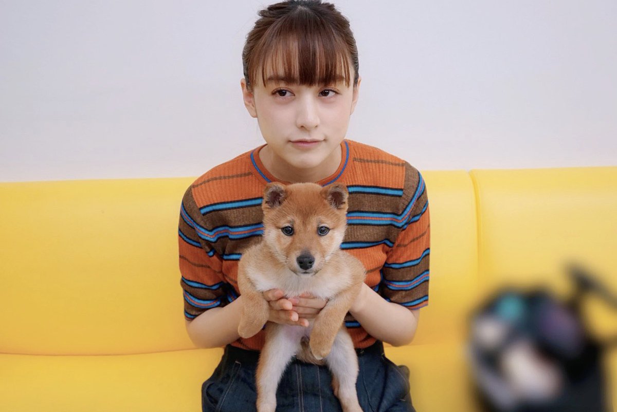 山本美月の私服 パーフェクトワールドで登場する可愛い柴犬とツーショットです どちらも可愛いです 芸能人の私服 衣装まとめ Woomy