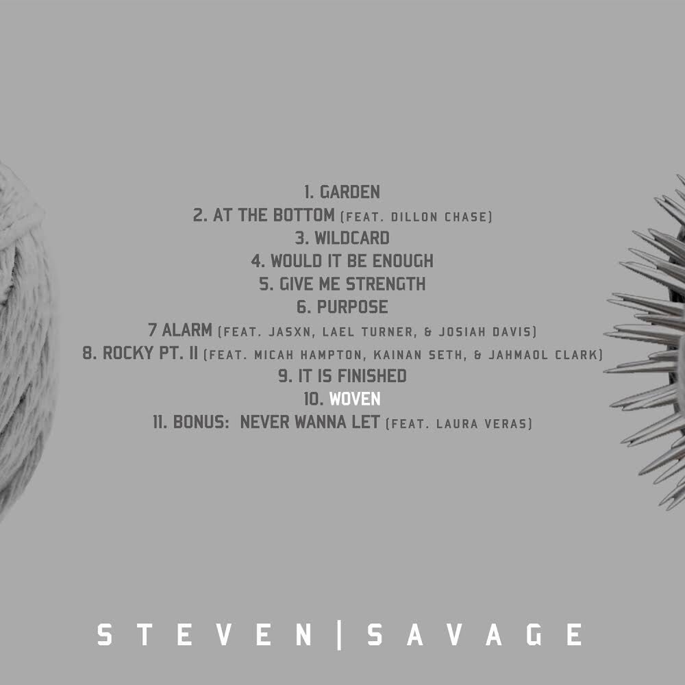 Steven Savage tweet media
