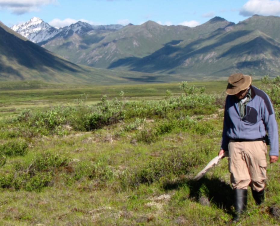 It's the perfect morning for a permafrost twitter-tour! So what is permafrost? Permafrost is frozen ground that remains in a frozen state for multiple years. But it's way more complicated than that. You can be walking on permafrost & not even know it. Image: C.Buddle, McGill