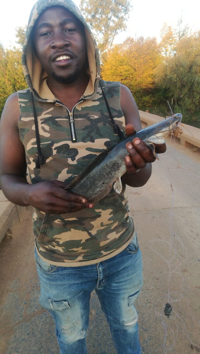 VELAPHIMIYA's tweet image. 