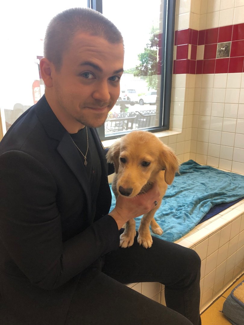 HunterHayes's tweet photo. Hard work today... these are my coworkers 
@nashvillehumane https://t.co/ULwN7kmVkQ