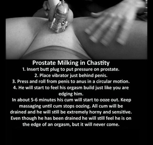 #chastity #milking.