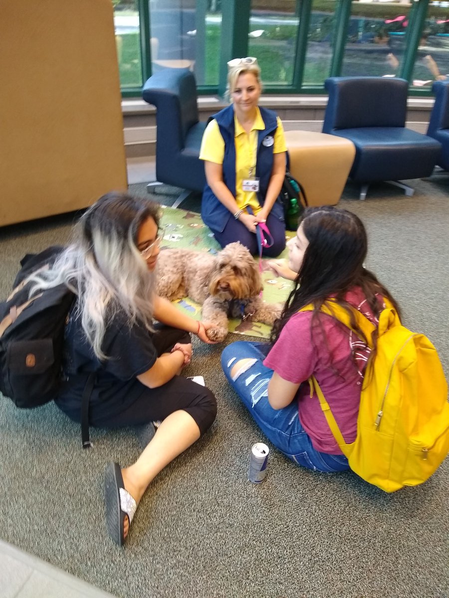 lscuclibrary's tweet photo. Therapy dogs from Pets With a Mission are providing finals stress relief for our students RIGHT NOW! #lscuc #puppies #calm #pets #corgis https://t.co/K8VaDJCyHi