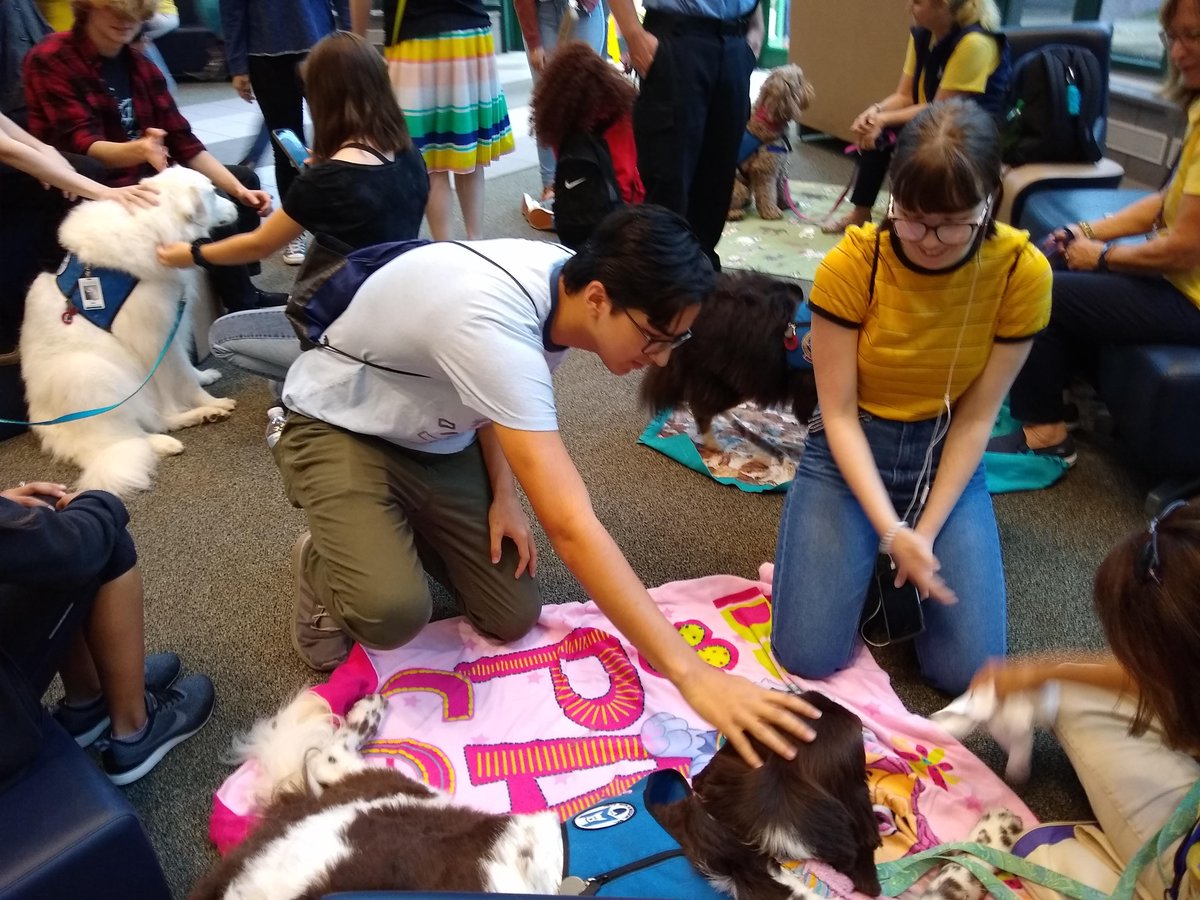 lscuclibrary's tweet photo. Therapy dogs from Pets With a Mission are providing finals stress relief for our students RIGHT NOW! #lscuc #puppies #calm #pets #corgis https://t.co/K8VaDJCyHi