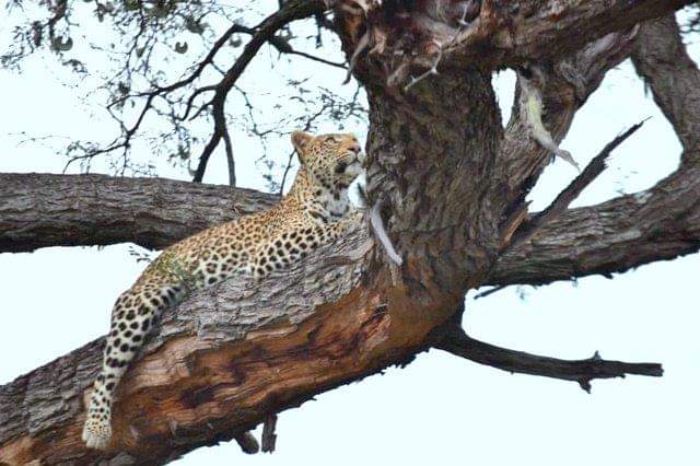 Destination_Zim's tweet photo. #VisitZimbabwe
📷 Mayeso Banda https://t.co/MHm6Q4SU1i
