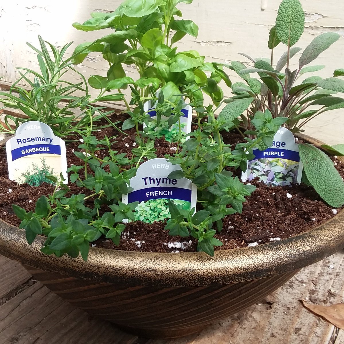 <a href="/BremecGardenCen/">Bremec Garden Center</a> Herb Container Workshop this Saturday, May 4th at 10am.  RSVP required.  Details:  bremec.com/events/herb-co…