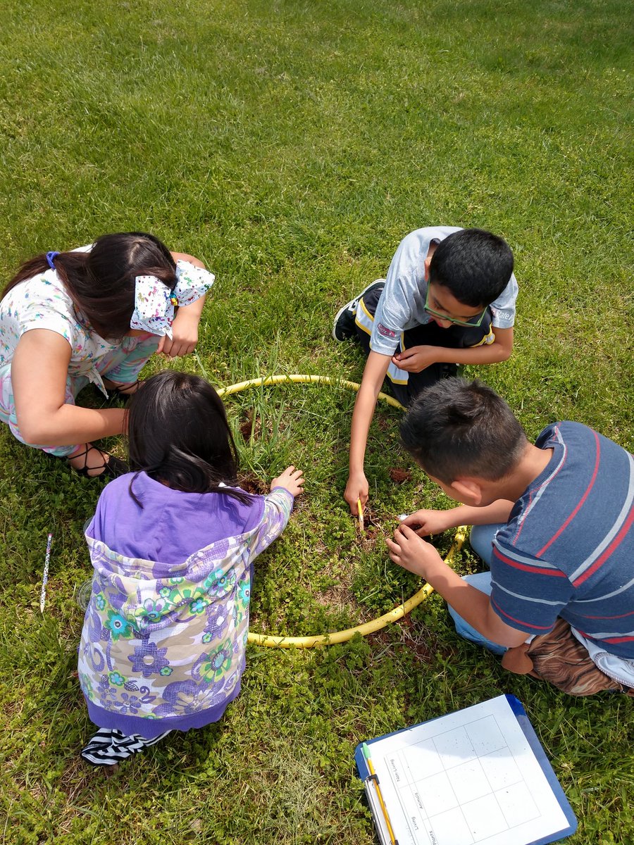 Sugarland STEAM (@sug_steam) on Twitter photo My students have been acting like soil scientists to determine the health of our school campus. Happy Soil and Water Stewardship Week. <a href="/Dr_Mihalik/">Dr. Gregory Mihalik</a> @gailbrady508 <a href="/SUGSTEAM/">Elementary Science Resource</a> #allin My students have been acting like soil scientists to determine the health of our school campus. Happy Soil and Water Stewardship Week. <a href="/Dr_Mihalik/">Dr. Gregory Mihalik</a> @gailbrady508 <a href="/SUGSTEAM/">Elementary Science Resource</a> #allin