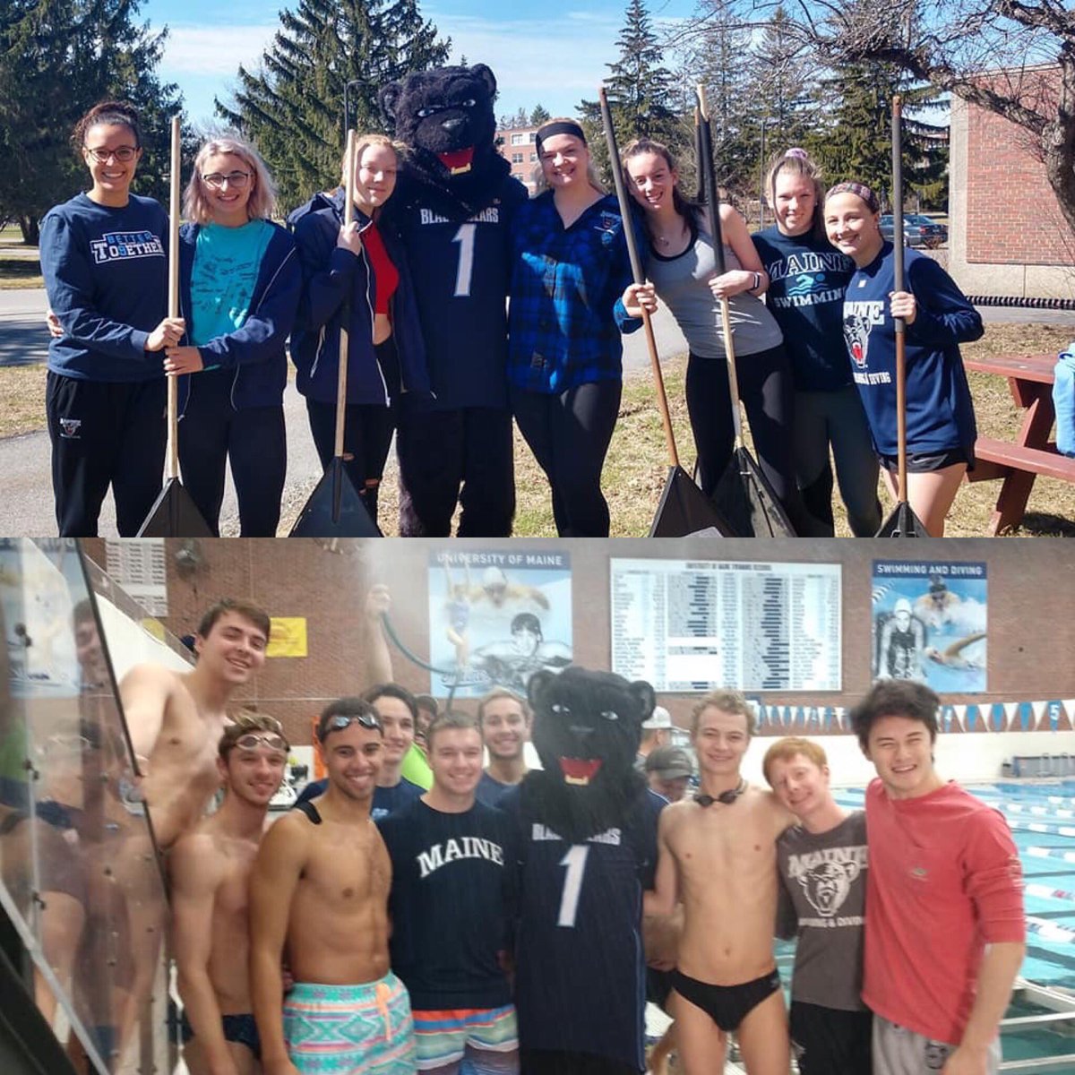 Maine Swimming and Diving (@maineswimdive) on Twitter photo Happy Maine Day from Wallace Pool! Happy Maine Day from Wallace Pool!